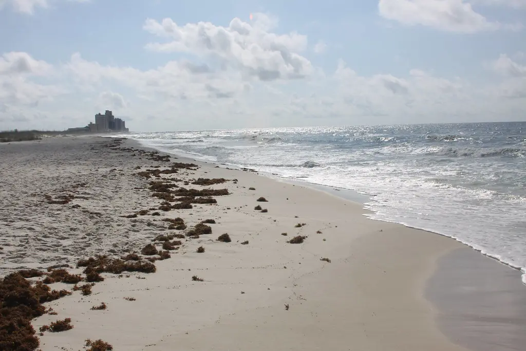 17870912811 d252b157c2 b