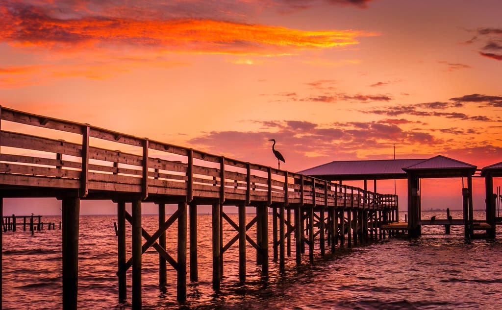 14082941527 8131658f5e b