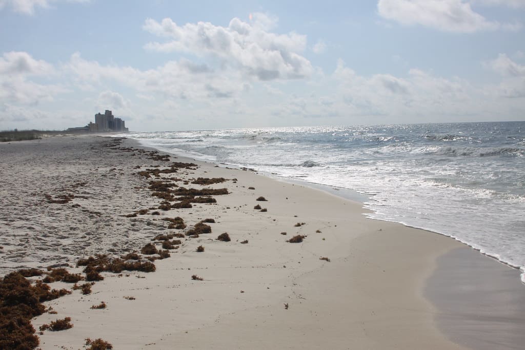 17870912811 d252b157c2 b