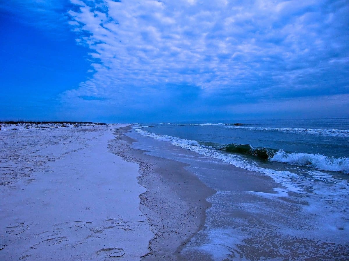 bon secour national wildlife