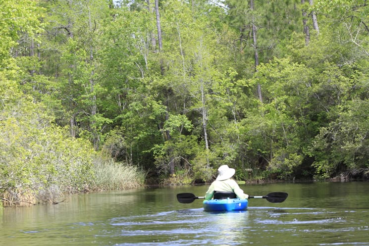 kayak graham creek
